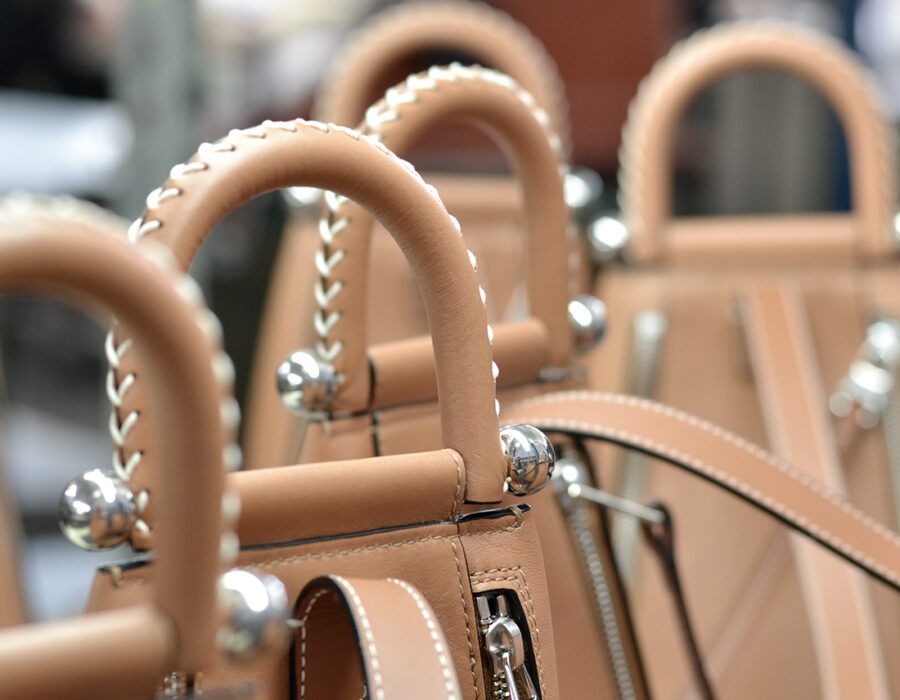 Galer&iacute;a Cormode