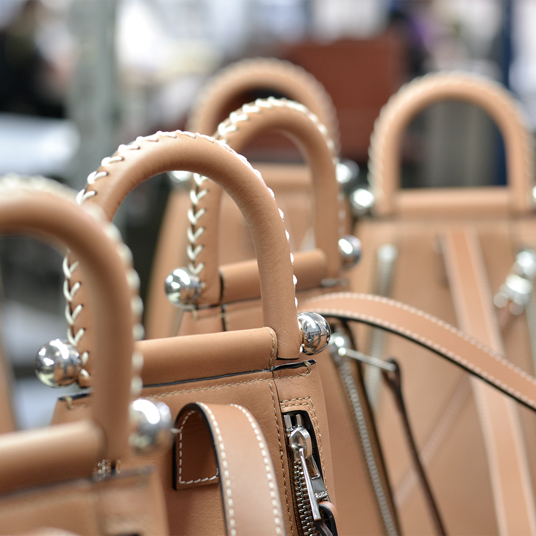 Galer&iacute;a Cormode