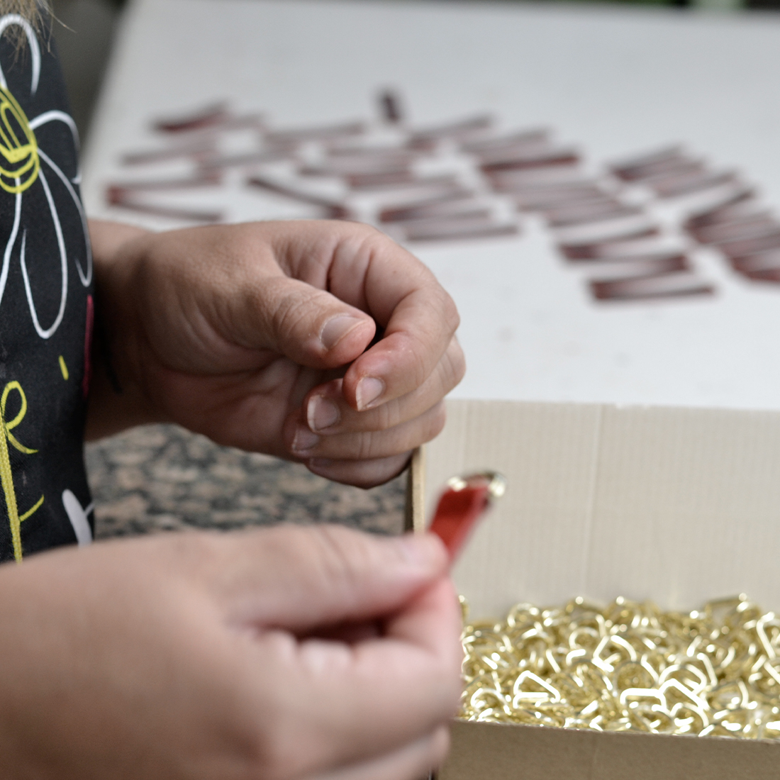 Galer&iacute;a Cormode