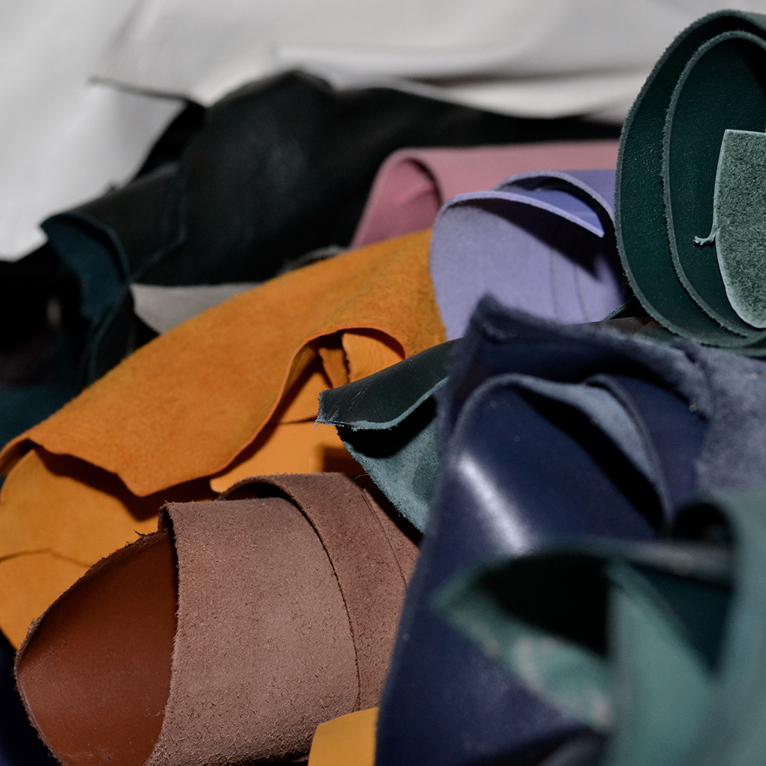 Galer&iacute;a Cormode